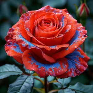 Роза Сикрет Гарден купить по цене от 619р. в интернет-магазине «Посадика» с доставкой почтой в в Калининске и по всей России – [изображение №1].