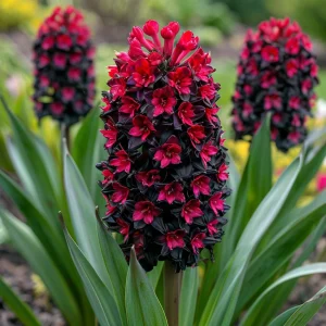 Гиацинт Джем Стоун купить по цене от 2099р. в интернет-магазине «Посадика» с доставкой почтой в в Калининске и по всей России – [изображение №1].