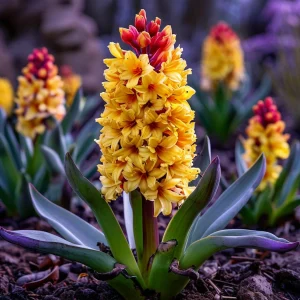 Гиацинт Миднайт Мистери купить по цене от 2099р. в интернет-магазине «Посадика» с доставкой почтой в в Калининске и по всей России – [изображение №1].