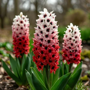 Гиацинт Скай Гарден купить по цене от 2099р. в интернет-магазине «Посадика» с доставкой почтой в в Калининске и по всей России – [изображение №1].